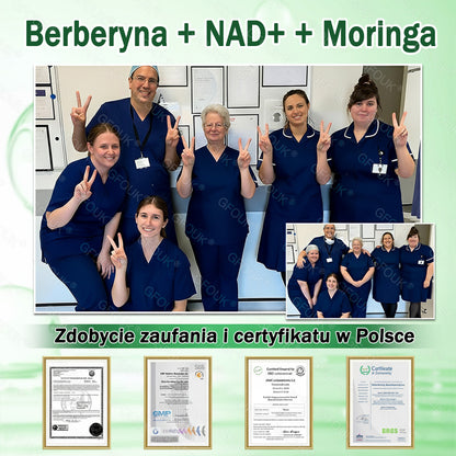 🇵🇱 Oficjalny Sklep | 👩‍⚕️ GFOUK® Moringa · Berberyna × NAD+ 10-w-1 Zaawansowany Nano Mikronakłuwający Plaster 🇪🇺 (Tylko Raz Dziennie, Widoczne Zmiany Już w 7 Dni)