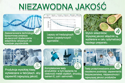 🇵🇱 Oficjalny Sklep | 👩‍⚕️ GFOUK® Moringa · Berberyna × NAD+ 10-w-1 Zaawansowany Nano Mikronakłuwający Plaster 🇪🇺 (Tylko Raz Dziennie, Widoczne Zmiany Już w 7 Dni)